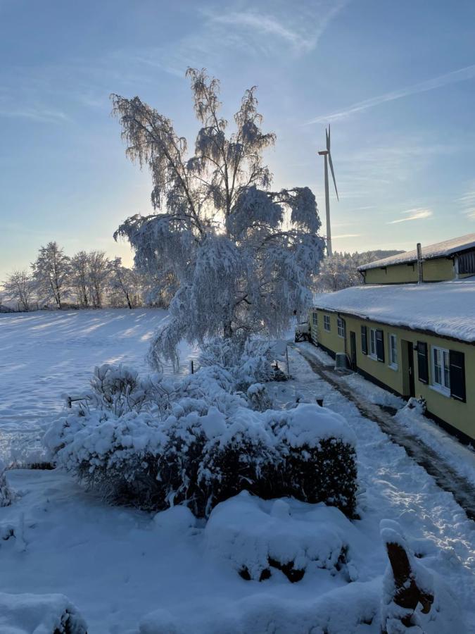 Petryhof Homestay