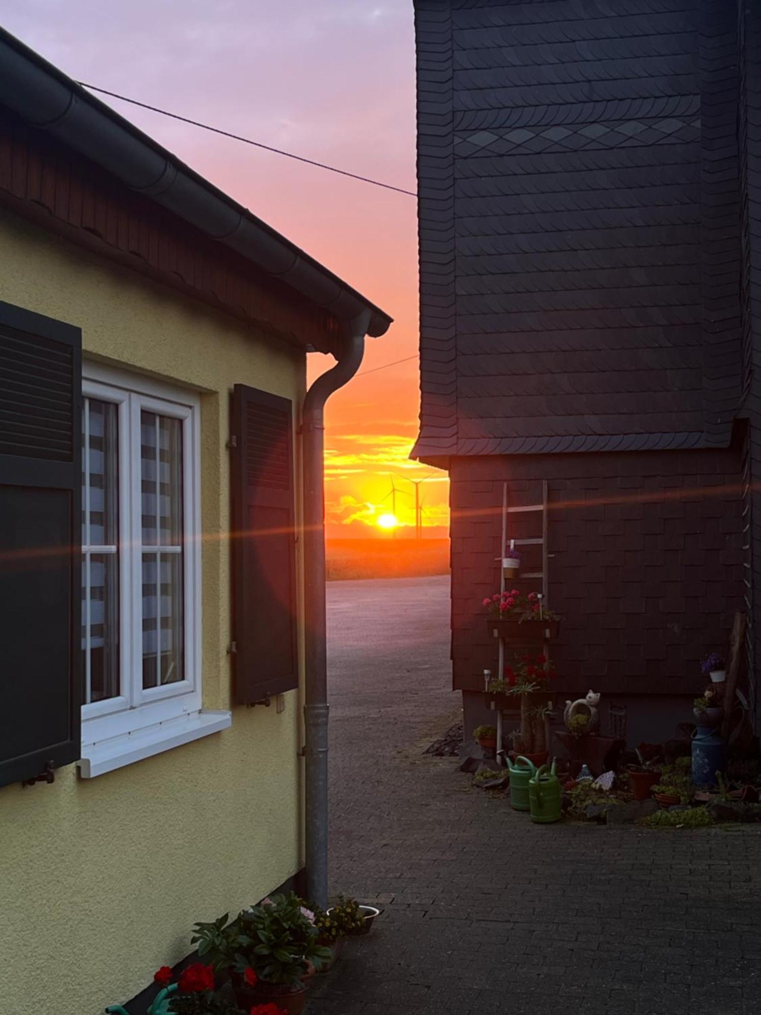 Petryhof Homestay *